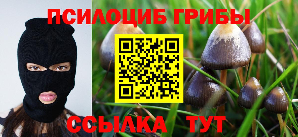 Куйбышев  Галлюциногенные грибы прущие грибы  Вход с VPN 