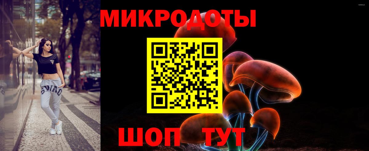 Псилоцибиновые грибы MAGIC MUSHROOMS Куйбышев